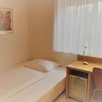 Albrecht 3*